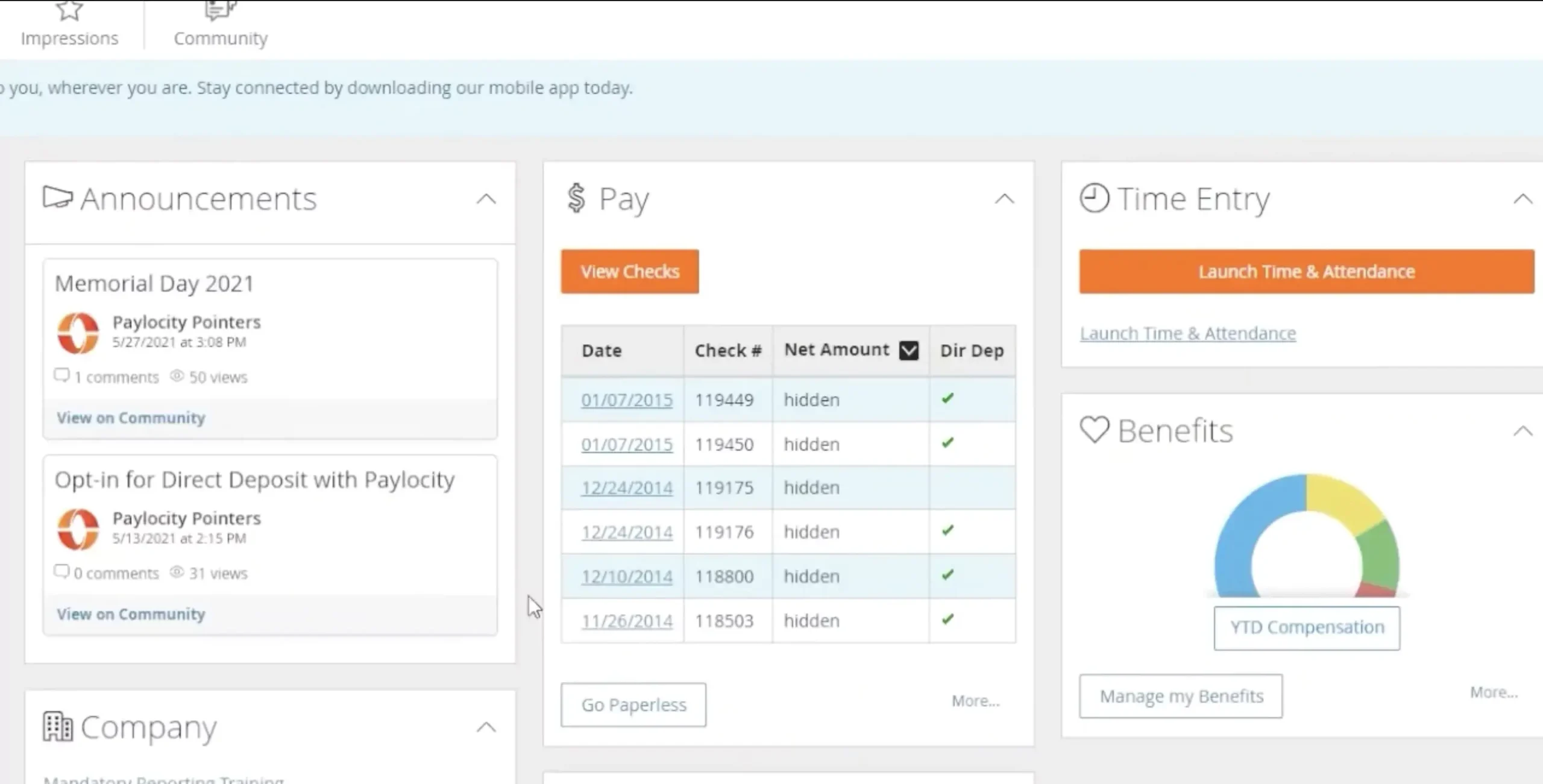 paylocity dashboard screenshot